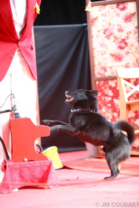 Diapositive suivante